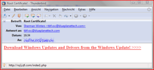 Spam-Mail mit angeblicher Internet Explorer 8 Beta