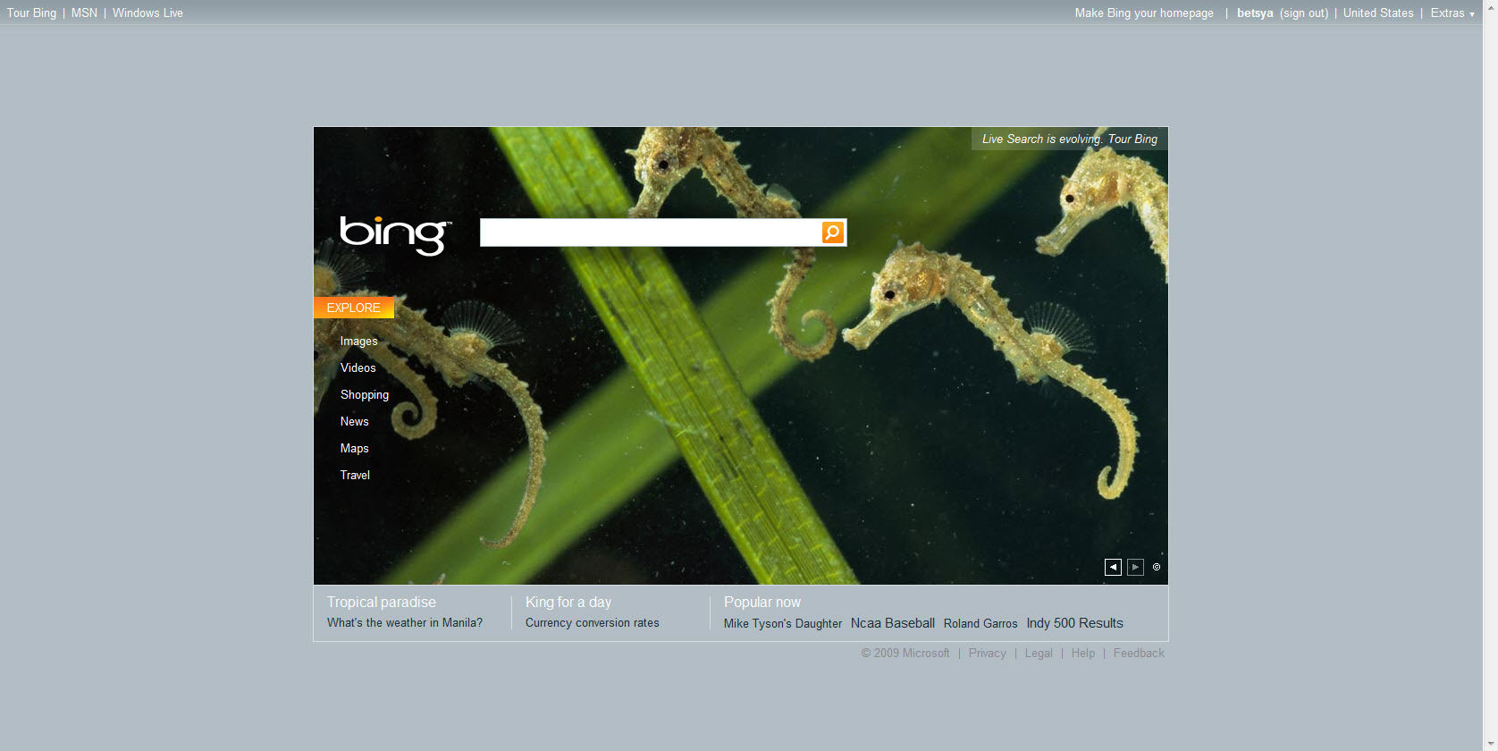 Homepage