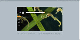 Homepage
