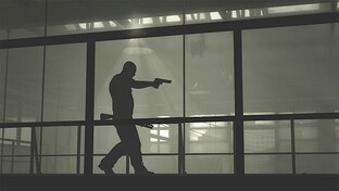 Max Payne 3