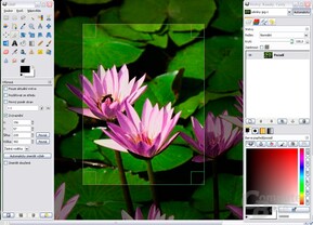 Microsoft Windows Screenshot
