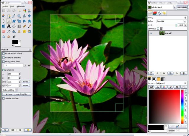 Microsoft Windows Screenshot