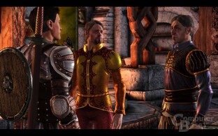 Dragon Age Origins