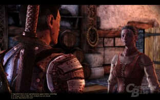 Dragon Age Origins