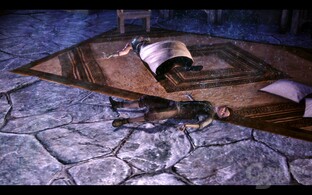 Dragon Age Origins
