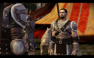 Dragon Age Origins
