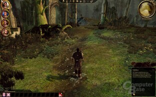 Dragon Age Origins