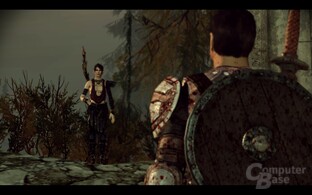 Dragon Age Origins