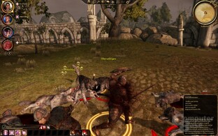 Dragon Age Origins