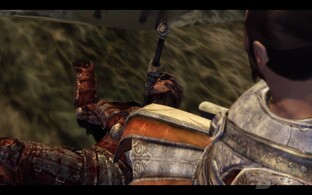 Dragon Age Origins