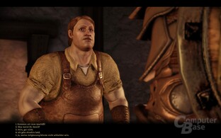 Dragon Age Origins