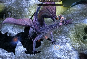 Dragon Age Origins