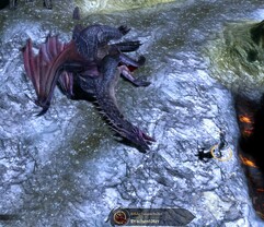 Dragon Age Origins