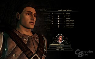 Dragon Age Origins