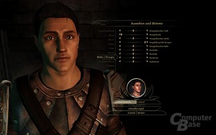 Dragon Age Origins