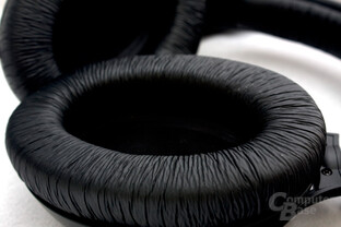 Ohrmuscheln sind sauber bespannt