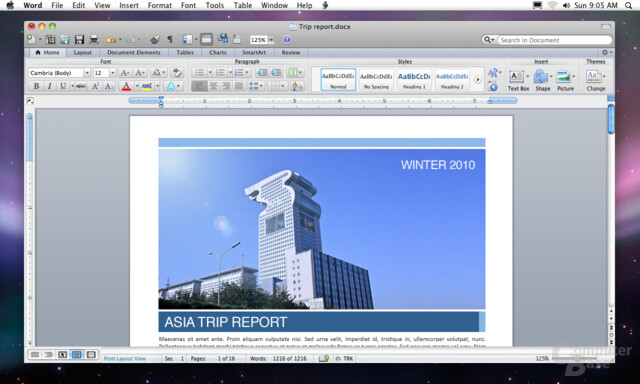 Microsoft Office for Mac 2011 (Word)