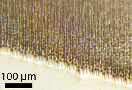 Bild einer in Polymer eingebetteten Siliziumdrahtmatrix