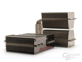 Leistungsstarkes Prolimatech-Duo
