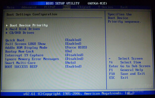 Biostar TA890GXE – BIOS