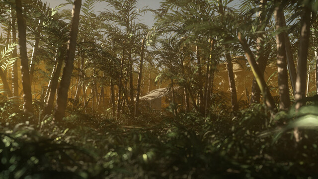 Depth of Field