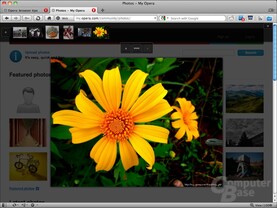 Opera 11 Beta