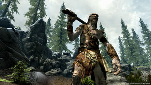 "TES V: Skyrim" Screenshot