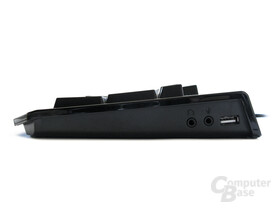 BlackWidow Profil