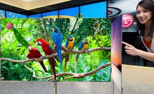 55-Zoll-OLED-TV von LG
