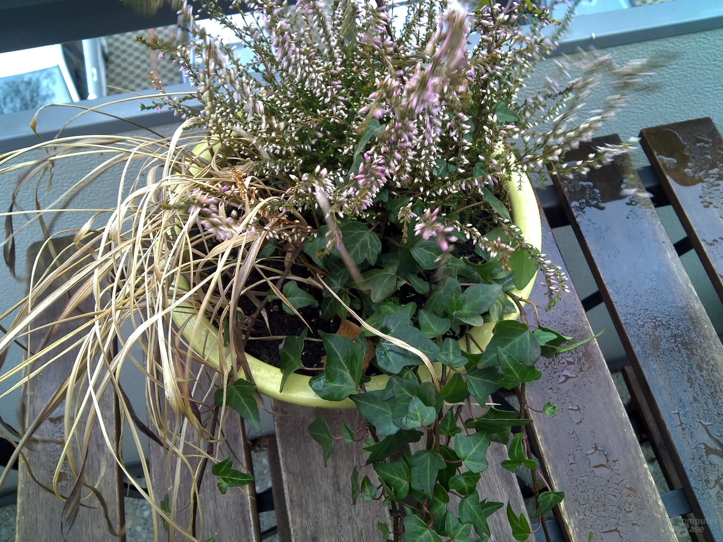 Testfoto