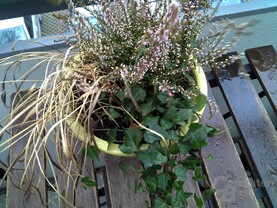 Testfoto