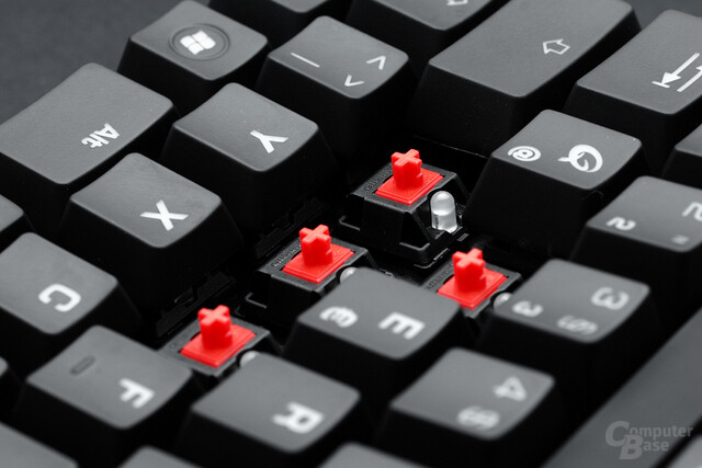 Cherry MX red: Qpad MK-50 und MK-85