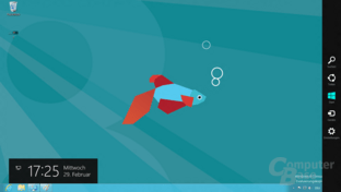 Windows 8 „Consumer Preview“