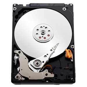 WD Scorpio Blue 2,5 Zoll