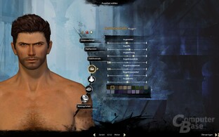 Guild Wars 2 (Beta-Vorschau)