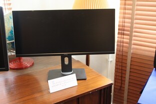 Dell U2913WM
