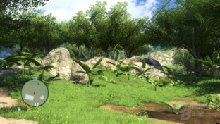 Far Cry 3 - 4xMSAA