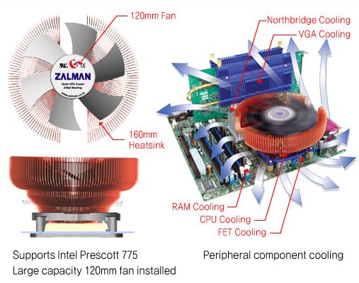 Zalman