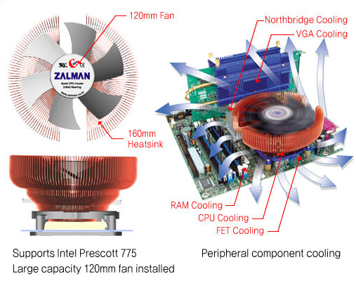 Zalman
