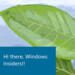 Windows 11: Microsoft Paint im Redesign für Insider im Dev Channel