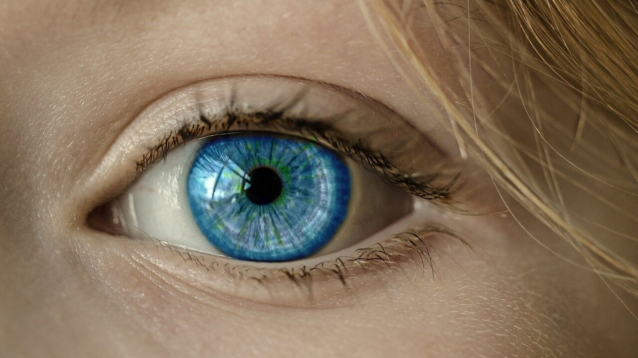 Neue Studien zu Blue Light: LED-Displays keine Gefahr für Augen