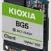 Kioxia BG5 mit PCIe 4.0: Mini-SSD tauscht BGA-Option gegen Leistung