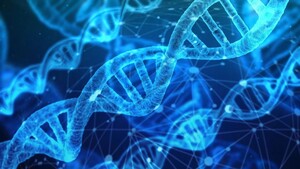 DNA-Datenspeicher: Synthetische Basen speichern noch mehr Informationen