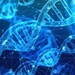 DNA-Datenspeicher: Synthetische Basen speichern noch mehr Informationen