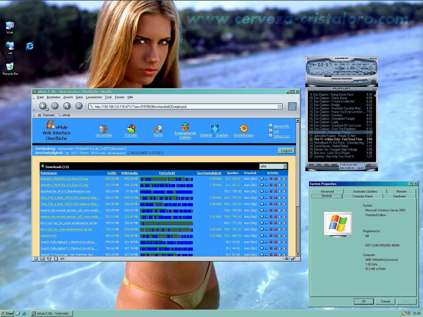 eMule 0.30c läuft am 29. Oktober 2003 unter Windows XP auf einem AMD Athlon mit 1 GHz