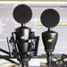 Neat King Bee II & Worker Bee II im Test: Mikrofone mit gutem Klang zum fairen Preis