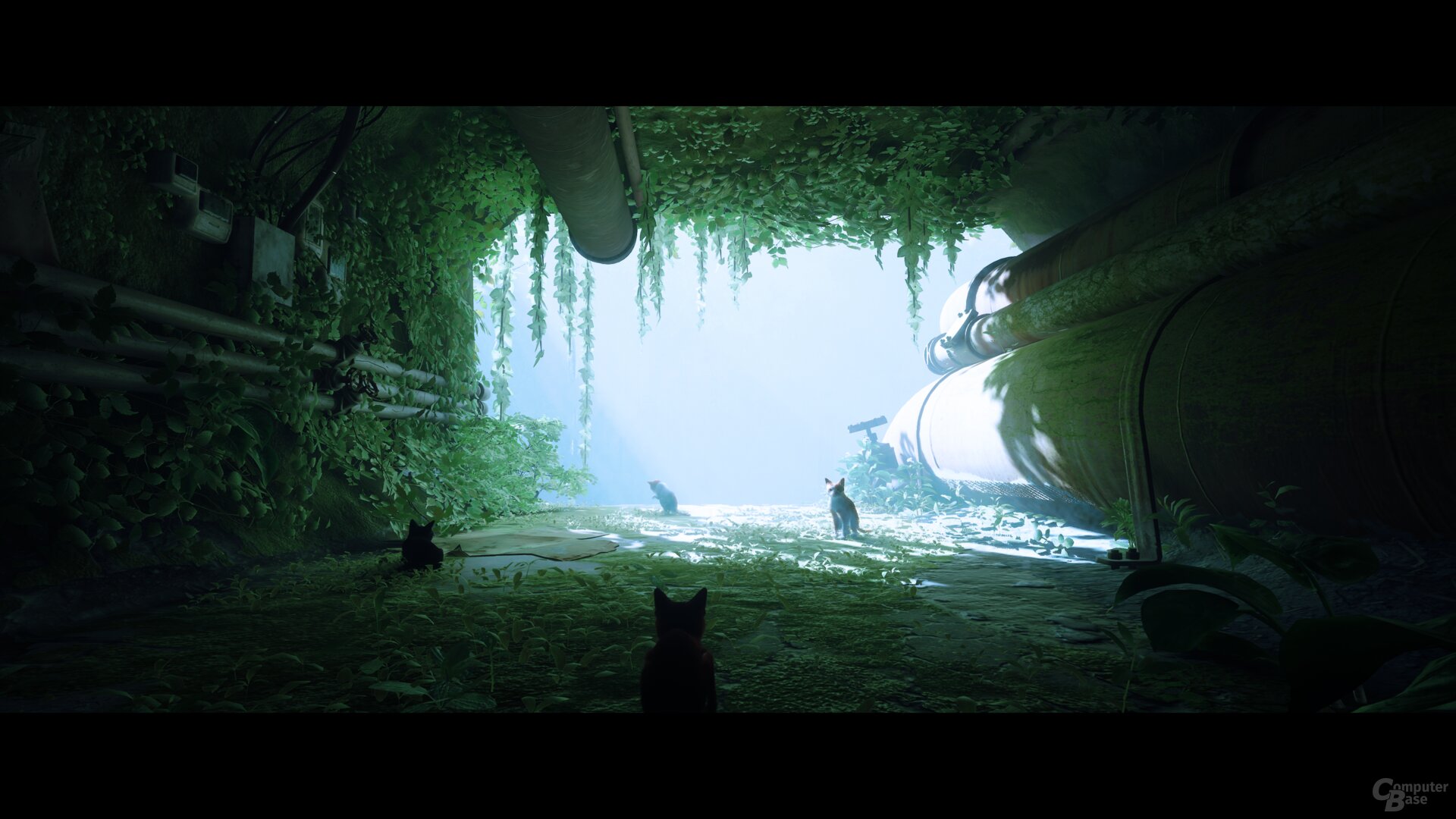 Stray im Technik-Test