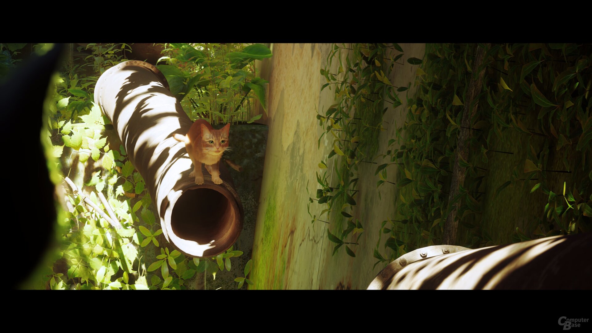 Stray im Technik-Test