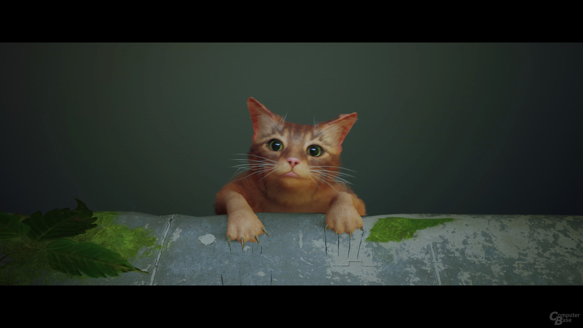 Stray im Technik-Test