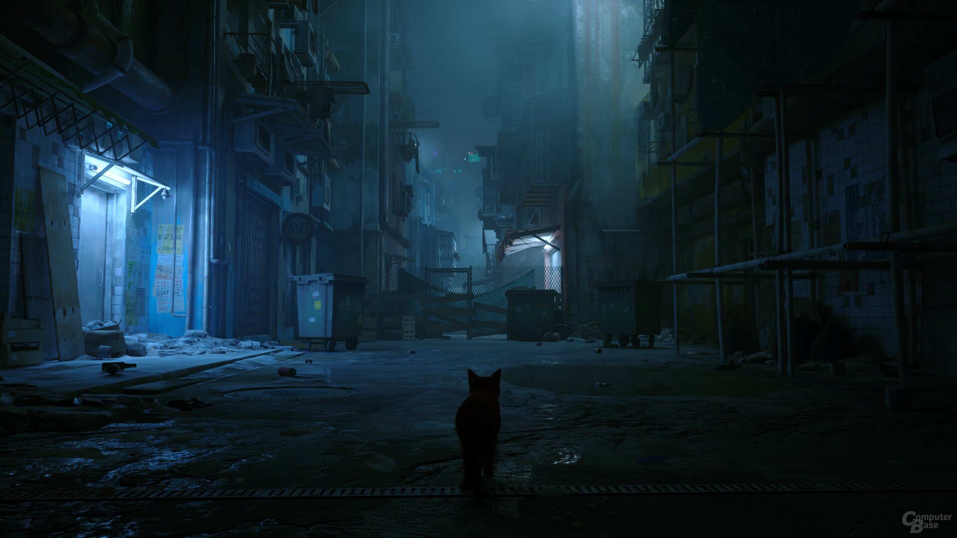 Stray im Technik-Test